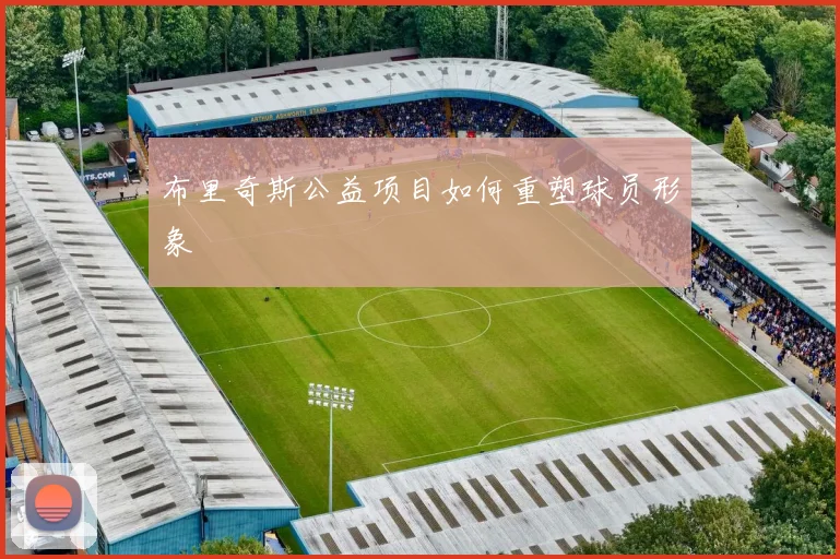 布里奇斯公益项目如何重塑球员形象