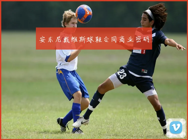 安东尼戴维斯球鞋合同商业密码