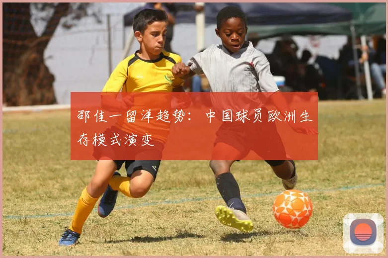 邵佳一留洋趋势：中国球员欧洲生存模式演变